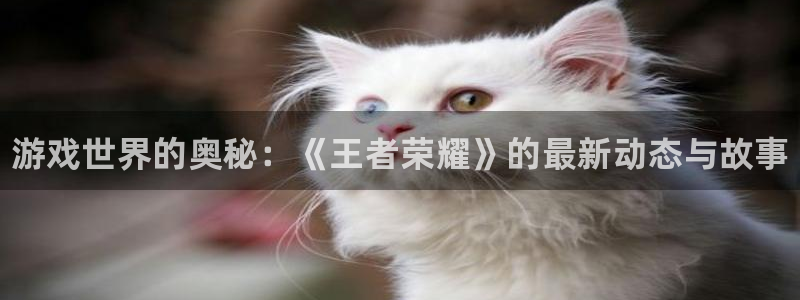 奇亿娱乐下载链接：游戏世界的奥秘：《王者荣耀》的最新动态与故