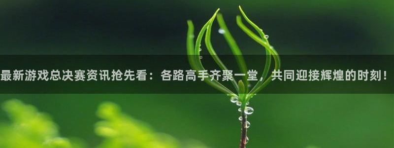 奇亿娱乐官方平台：最新游戏总决赛资讯抢先看：各路高手齐聚一堂