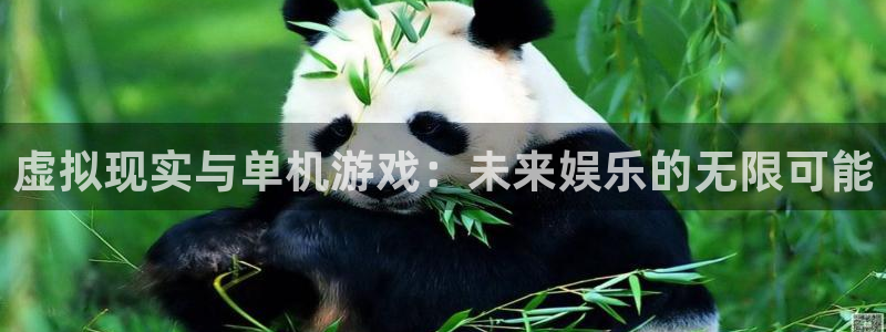 奇亿娱乐平台负责人：虚拟现实与单机游戏：未来娱乐的无限可能