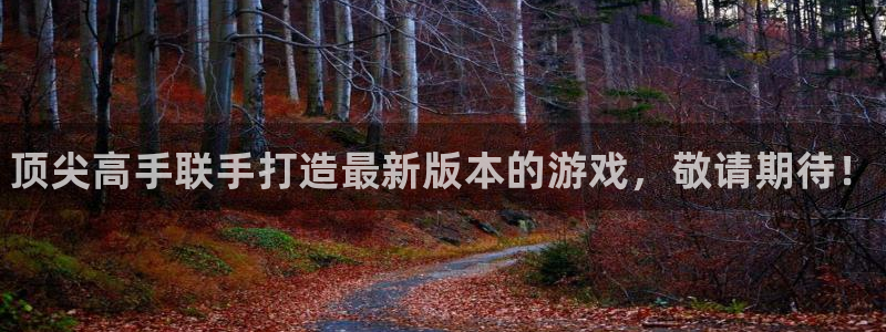 奇亿娱乐注册登录：顶尖高手联手打造最新版本的游戏，敬请期待！